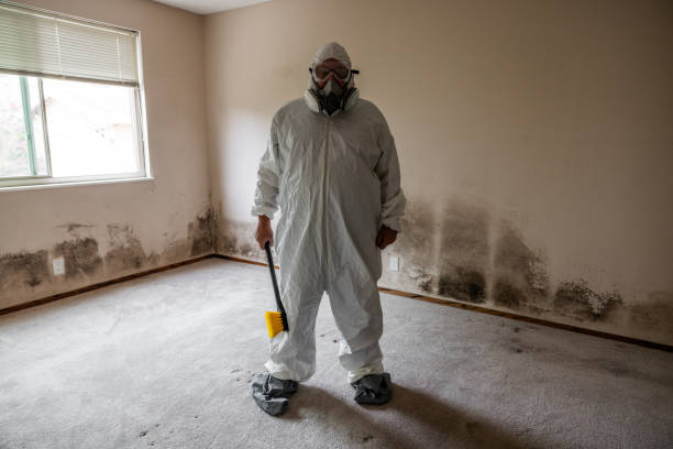 Best Mold Odor Removal Services  in Prairie View, TX